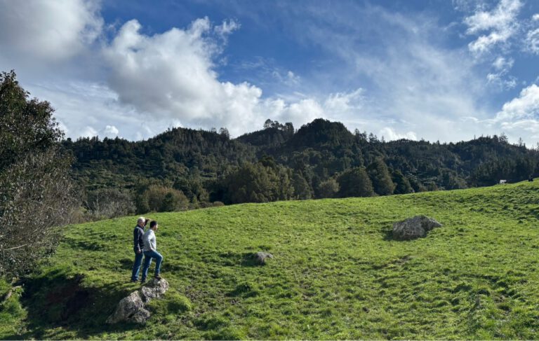 North Island Projects – Waitekauri